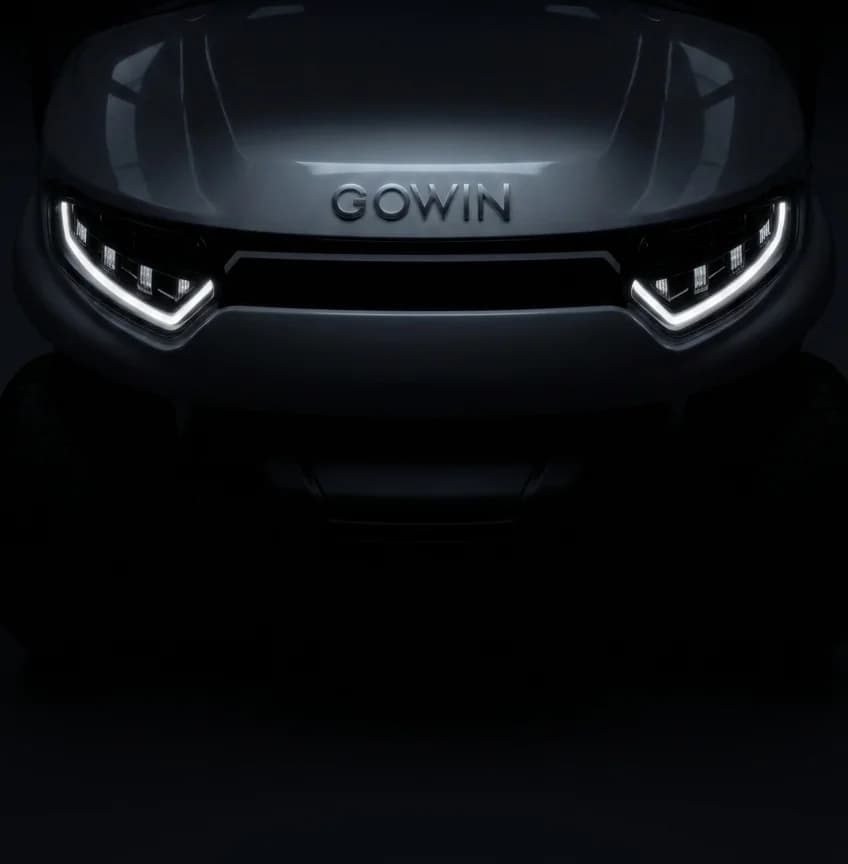 GOWIN F20